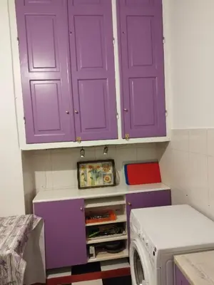 a purple cabinet in a laundry room with a washing machine at Golden room 3 in Athens