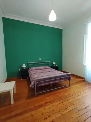 a green bedroom with a bed and a wooden floor at Golden room 6 in Athens