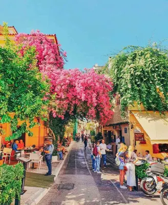 a group of people walking down a street with pink flowers at Plaka City Studio - Walk to Syntagma by ΜΡS in Athens