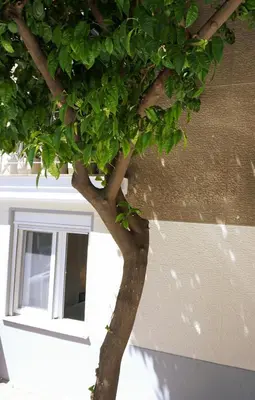 Gallery image of Live in athens as a local in Athens