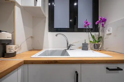 a kitchen counter with a sink and purple flowers at Athens Loftnest in Athens