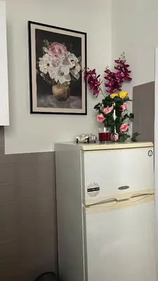 a white refrigerator with flowers on top of it at Yiayias home - Retro tranquility near Syntagma in Athens