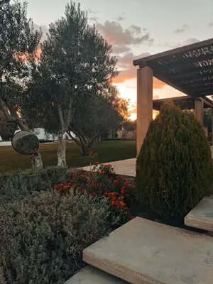 a sunset in a garden with flowers and trees at ATHENS MOTORHOME park RV WINNEBAGO in Pallíni