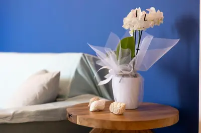 a table with a vase with flowers and cookies on it at TheJellyfishDream Sea-view Balcony Piraeus Escape in Piraeus