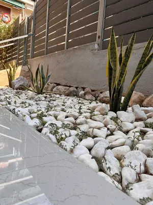 a garden with rocks and plants in the snow at Athens Urban Retreat Apartment - City Center - Fiber Wi-Fi in Athens