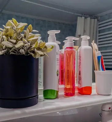 a shelf with four bottles of soap and a potted plant at 26 HoMe in Athens