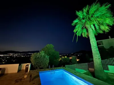 a palm tree and a swimming pool at night at 2 bedroom self-contained apartment and swimming pool at Palm Tree Villa in Anavissos