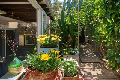 a garden with flowers in pots on a porch at Cool ambiance, 2Brs , Private Garden & Parking in Athens
