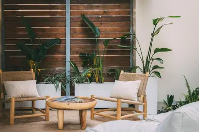 two chairs and a table in a room with plants at 3BD 2 Floor Maisonette with Pool in Athens