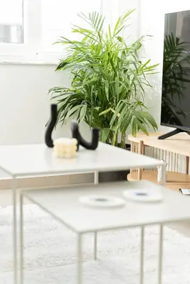 a white coffee table with a potted plant at Athens Urban Apartment in Athens