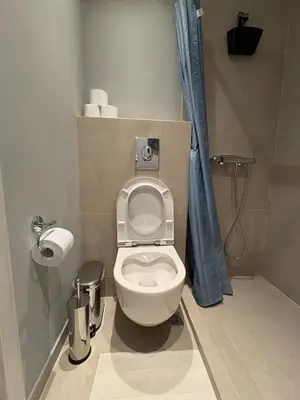a bathroom with a toilet with a blue shower curtain at Relax adobe in central Athens in Athens