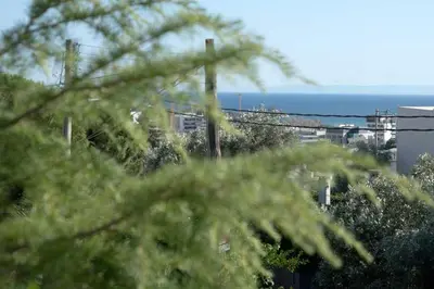a view of the ocean from a tree at Modern Greek Escape close to Alimos Shore in Athens