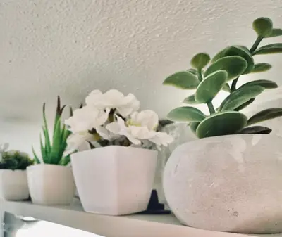 a shelf with four white potted plants on it at Gaia Casa Athens in Athens