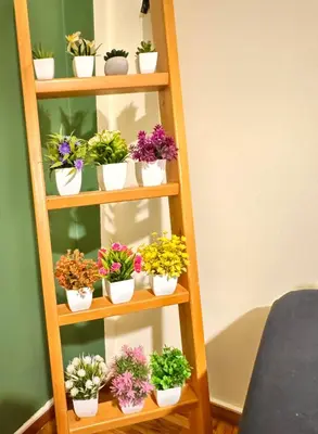 a wooden ladder with potted plants on it at Gaia Casa Athens in Athens