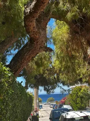 a view of the ocean from under a tree at Saronida Beachwalk Stay in Saronida
