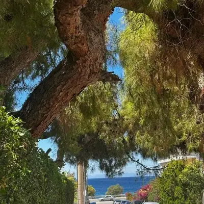 Saronida Beachwalk Stay