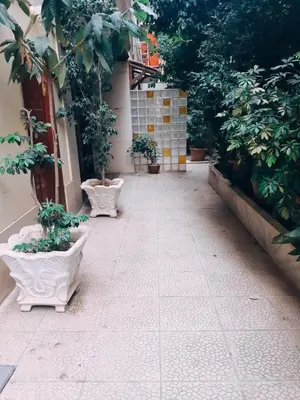 a walkway with potted plants on the side of a building at \u96c5\u5178\u6d77\u6ee8\u516c\u5bd3 in Athens