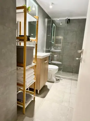 a bathroom with a sink and a toilet and a shower at Christina's Home in Athens