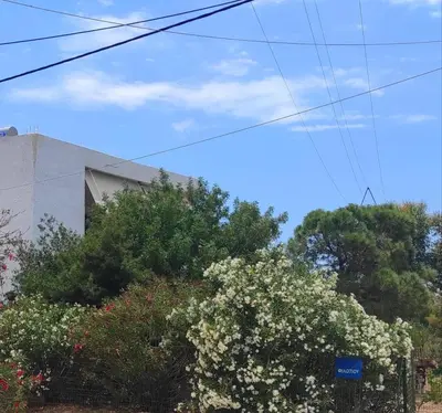 a bush with white flowers in front of a building at Αριάδνη στούντιο με θέα in Anavissos