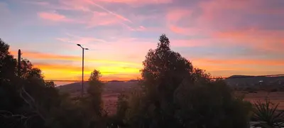 a sunset with a street light and some trees at Αριάδνη στούντιο με θέα in Anavissos