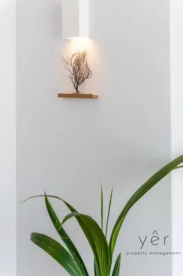 a plant on a white wall with a lamp at Coastal Charm at Pasalimani - Steps from Port&Beach in Piraeus