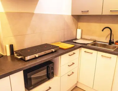 a kitchen with a stove and a sink at The Fig Tree Flat in Athens
