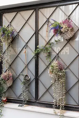 a bunch of potted plants hanging on a wall at Luxurius Studio Near Plaka & Acropolis 3 in Athens