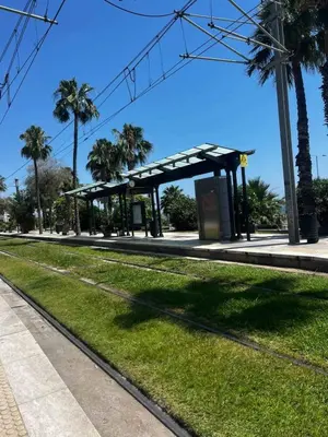a bus stop with palm trees and grass at Solvy Beachfront Suite-Direct to City Center & Piraeus Port & Airport in Athens