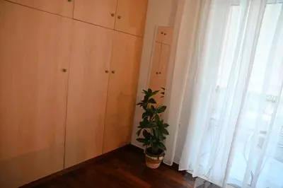 a plant sitting in a room next to a window at Athénée Retreat in Athens