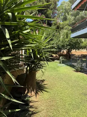 a palm tree in the middle of a yard at SeaWave Porto Rafti in Porto Rafti