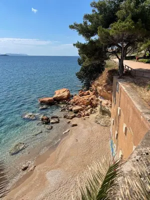 a sandy beach with a tree and the ocean at Varkiza Beach Entire Apartment in Vari