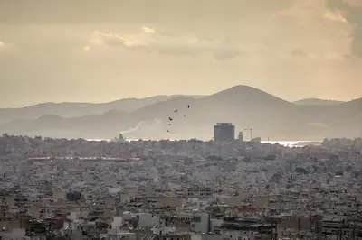 a group of birds flying over a city at Luxury Penthouse 360 Acropolis and Athens Views in Athens