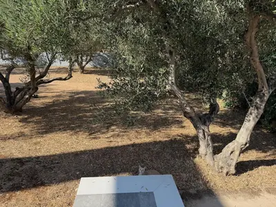 a sign sitting in front of a tree at Φωτεινό σπίτι 200μ από την παραλία in Porto Rafti