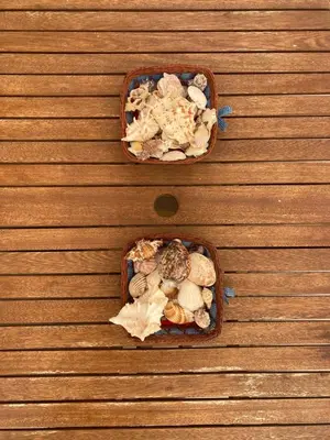 two containers of rocks and shells on a wooden wall at Glyfada Charm, Cozy & Warm with private parking in Athens