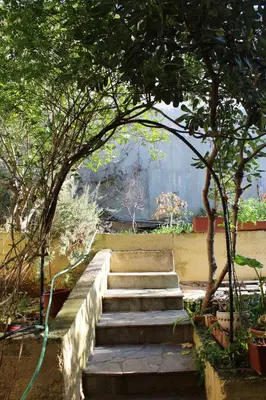 a set of concrete stairs in a garden with trees at Sea & garden view cozy apartment with good privacy in Athens
