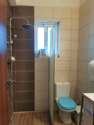 a bathroom with a toilet and a shower at Sea & garden view cozy apartment with good privacy in Athens