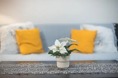 a vase with white flowers sitting on a table at Ground floor apartment, 100m from metro Panormou in Athens