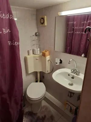 a bathroom with a toilet and a sink and a mirror at Rooftop bliss in Athens
