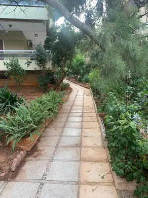 a walkway in a garden with trees and plants at Traditional Apartment in Varkiza in Vari
