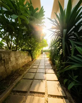 a walkway in the middle of a garden with palm trees at sea soul house in Athens