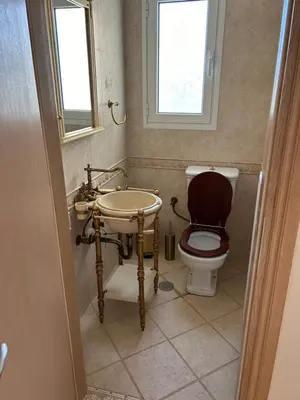 a bathroom with a toilet and a sink at Villa Clio in Porto Rafti