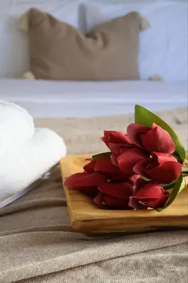 a bouquet of red flowers on a wooden plate at Athenean Porto Pireaus Suites-B1 in Piraeus