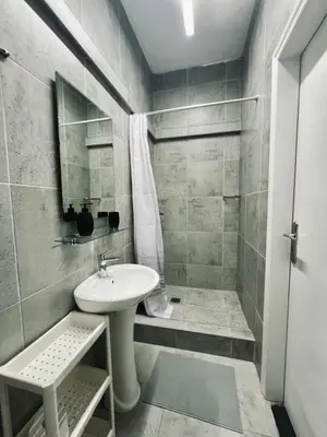 a bathroom with a sink and a shower at Syntagma Artist Apartment 2BR 8G in Athens