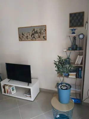 a living room with a tv and a potted plant at 2room-flat, perfect kitchen in Athens, Pangkrati 100Μbits in Athens