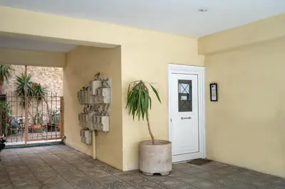 a room with a plant in a barrel next to a door at Welcome apartment in Athens