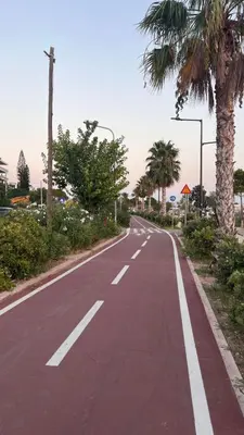 an empty road with palm trees on the side at Beach house in the heart of Athens Riviera in Athens