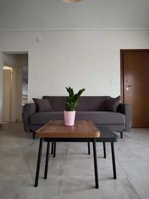 a living room with a couch and a table with a plant at Captain's flat in Piraeus