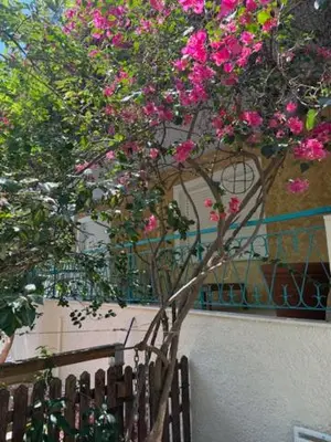 a tree with pink flowers on top of a fence at Avra Deluxe Apartment in Athens
