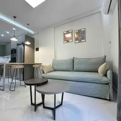 Downtown modern apartment