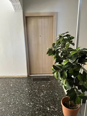 a potted plant sitting in front of a door at Lilia Apartments in Athens